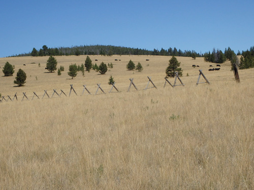 GDMBR: Grassland/Rangeland.